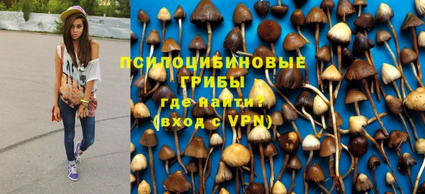 МДПВ Дмитровск