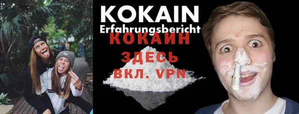 прущие крисы Дмитриев