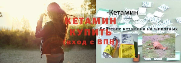прущие крисы Дмитриев