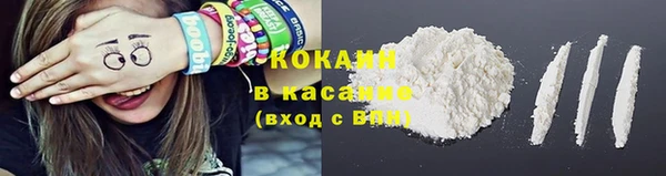 прущие крисы Дмитриев