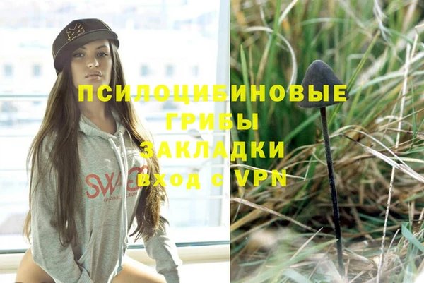 прущие крисы Дмитриев