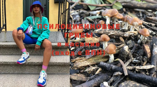 МДПВ Дмитровск