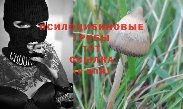 наркотики Ельня