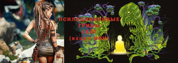 прущие крисы Дмитриев