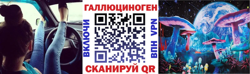 Псилоцибиновые грибы Magic Shrooms  Купить где  Кувшиново 